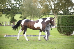 SBM_44361