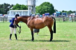 SBM_03862