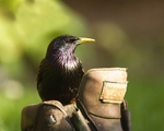 20110410-IMG_3335-140