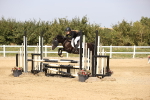 SBM_002969