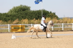 SBM_004949