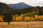 Changing Seasons