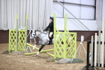 SBM_000187