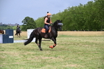 WJ6_5148