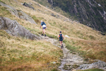 Peris Horseshoe-709