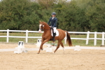SBM_00737