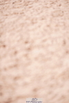 240505A-162104-07151