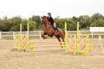 SBM_008497