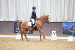 SBM_002334