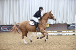 SBM_003057
