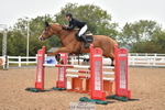 Cls 5 Foxhunter & 1.20m Open portfolio