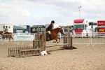 SBM_04740