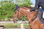 BPP_2481