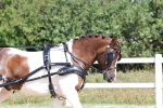 SBM_000875
