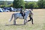 WJ6_7816