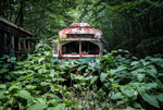 Trolley Graveyard | About to Pounce