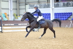 SBM_009499