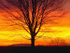 Fiery Sky