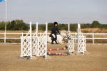 SBM_000222