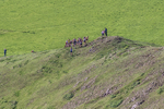 Ilam-17