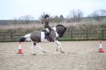 SBM_007975