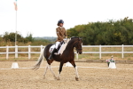 SBM_006739