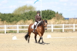 SBM_013945