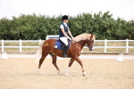 SBM_006568