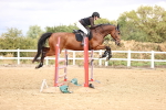 SBM_026975