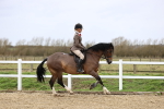 SBM_006921