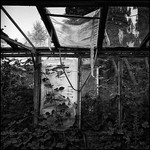GLASS HOUSE 3