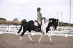SBM_07952
