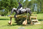 311-BALLYCOSKERRY_REGAL_DIAMOND-Hollie_Swain-XC portfolio