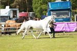 SBM_01626