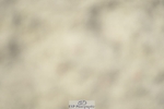 230909-130024-05886