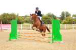 SBM_004646