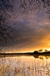 Tamar Lake