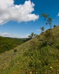 Deep Dale #07