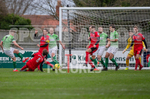 GFC v Phoenix Sports-26