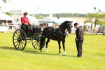 SBM_01195