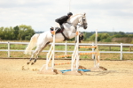 SBM_010319