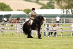 SBM_07126