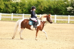 SBM_006462