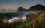 Thoresby Dawn