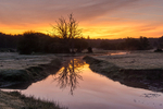 Mill Lawn Brook