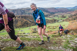 Stybarrow Dodd-564