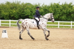 SBM_005924