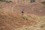 Loughrigg-549