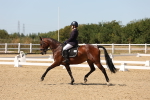 SBM_002894