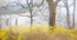 SPRING - PORT RYERSE